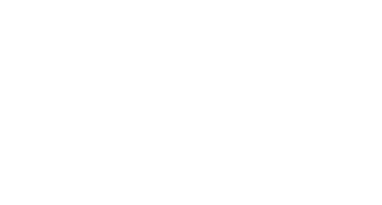 CELEB